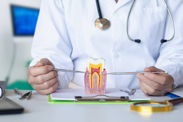 Best Emergency Broken Tooth Repair in Pontiac, IL